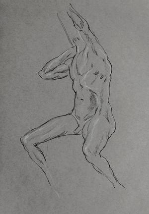 Male torso, charcoal and white pencil on toned paper