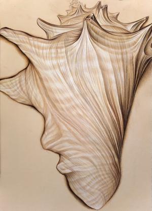 Big Shell, 2014, colored paper,tempera, charcoal and colored pencil, 22 x 30 in